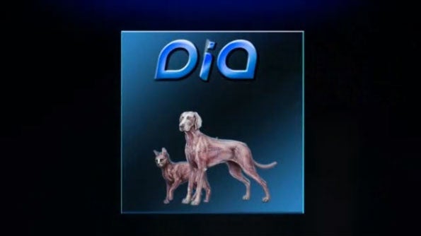 Pet Dental Health Video