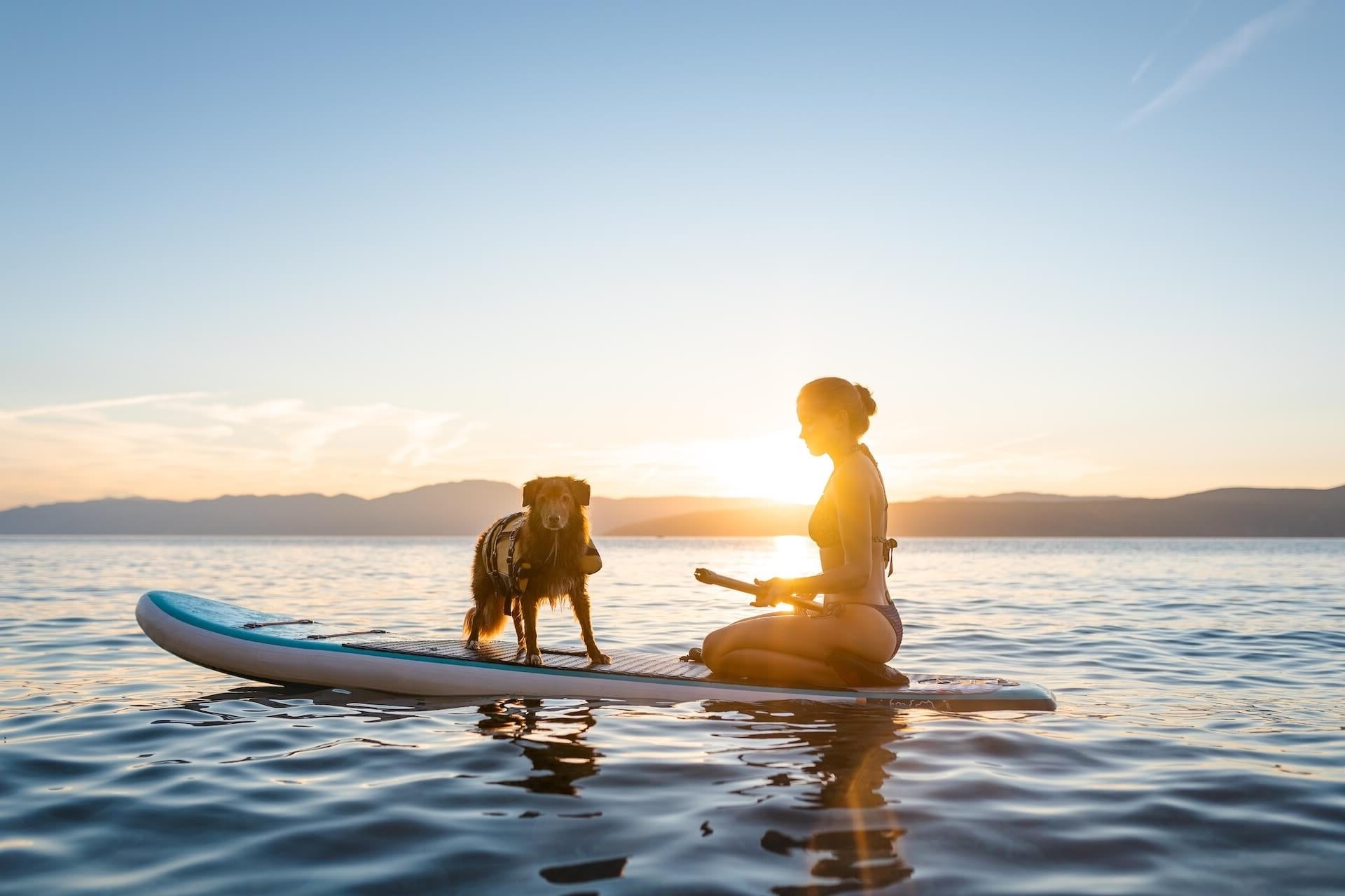 Huntington Beach Veterinary Hospital Mobile