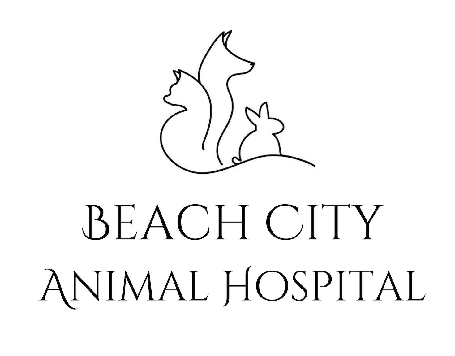 Beach City Animal Hospital